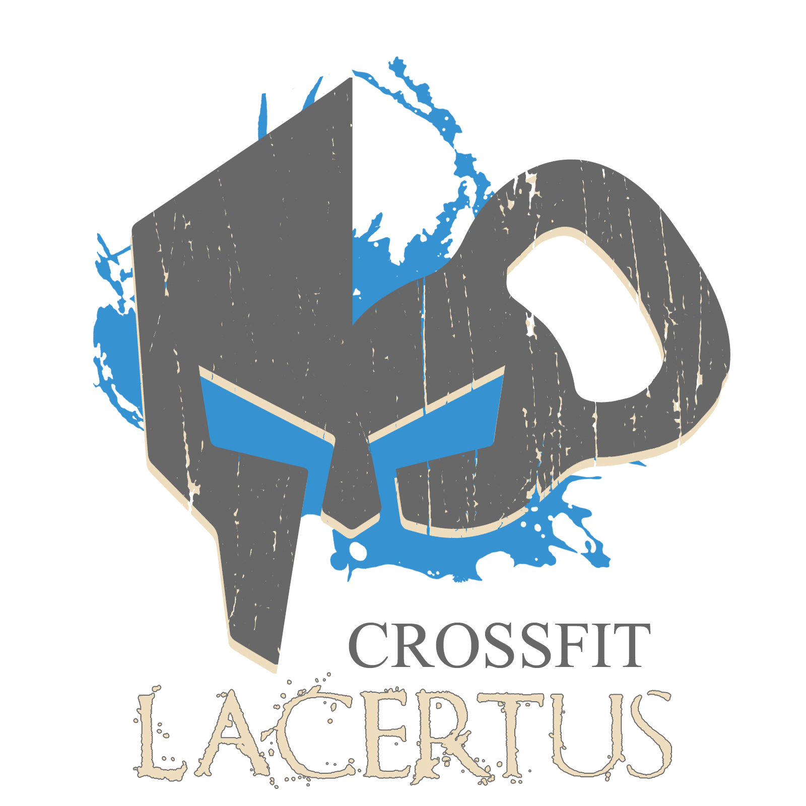 CrossFit Lacertus